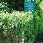 Residenze Al Colle Dei Pini 3* Riccione