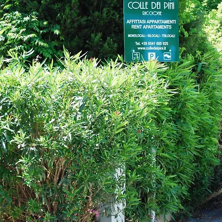 阿尔科尔棣皮尼公寓 3* 里乔内