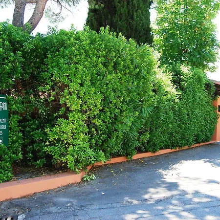 Residenze Al Colle Dei Pini リッチョーネ