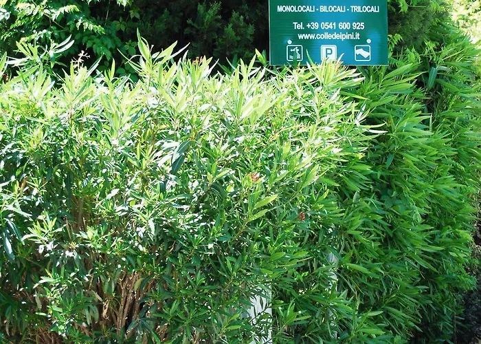 Residenze Al Colle Dei Pini 3* Riccione